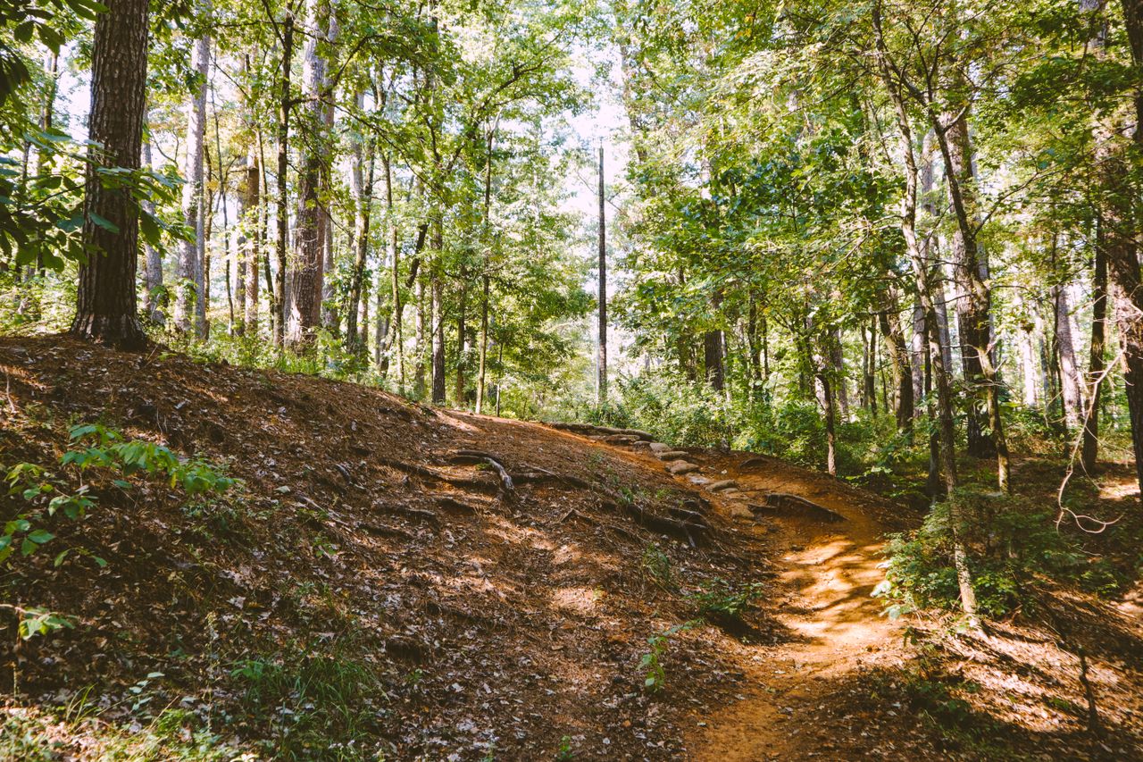 beautiful hiking trails in northern wisconsin